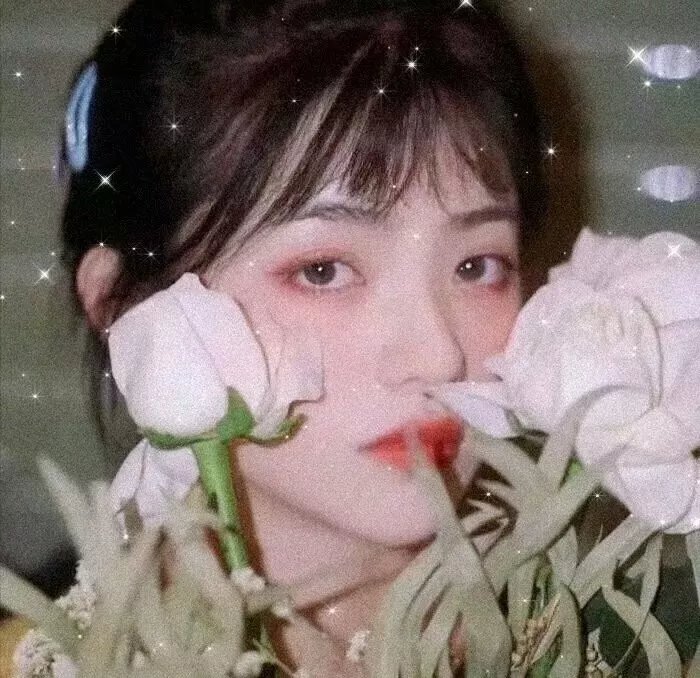 天使航班